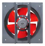 800293-MLA76440445925_052024