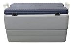 648311-MLA79738005198_102024