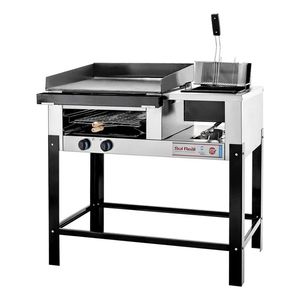 Plancha Lomitera Freidora Carlitera Sol Real Acero Inox 177